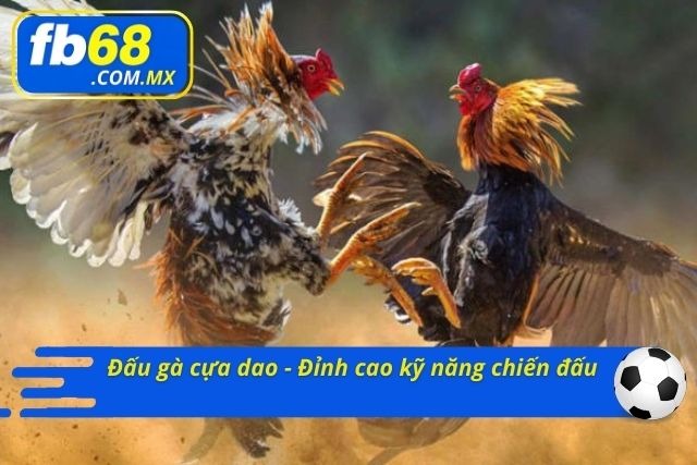 FB68 đặc sắc nhiều sản phẩm nổi tiếng